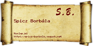 Spicz Borbála névjegykártya
